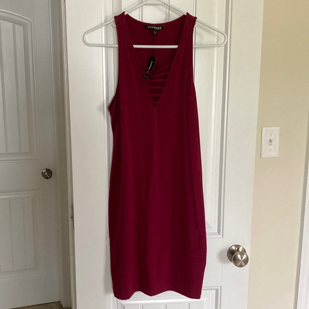 Express Burgundy Mini Dress